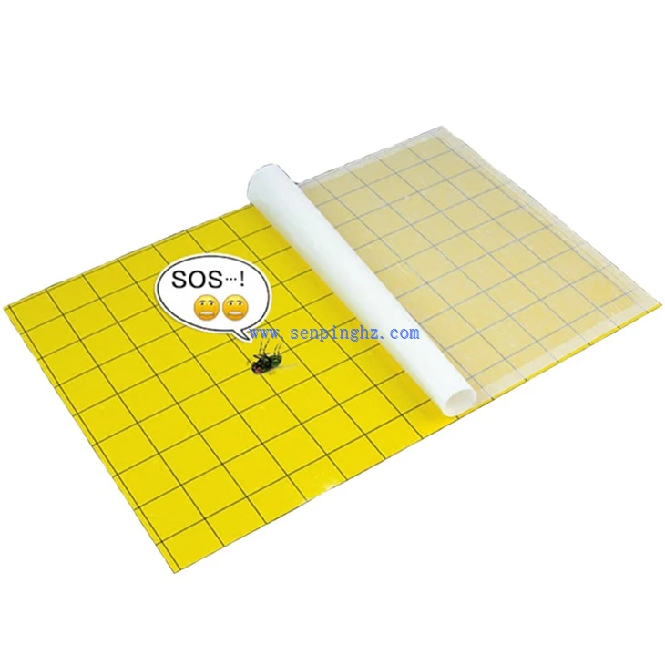 Fly adhesive glue trap